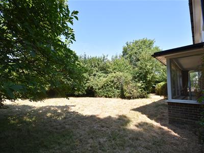 Picture 25